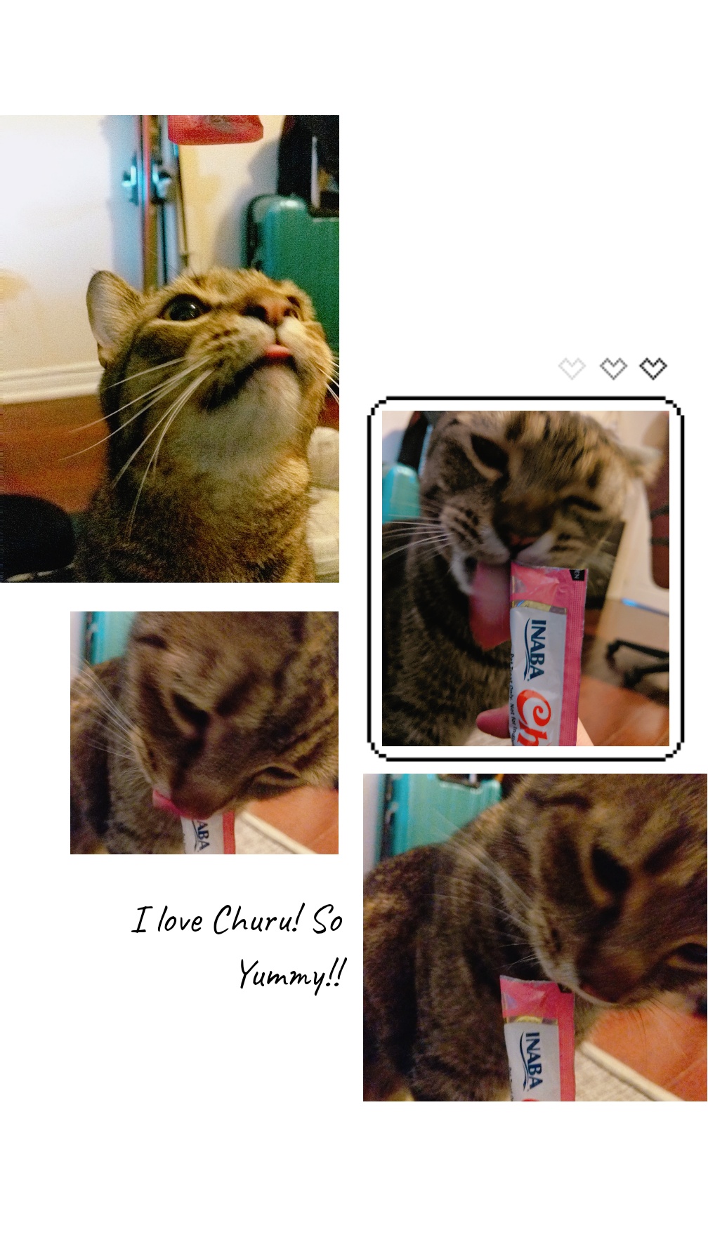 Inaba Churu – Japanese #1 cat treat